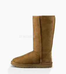 Classic Tall Chestnut II