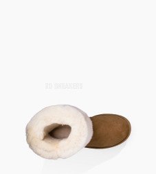 Classic Tall Chestnut II