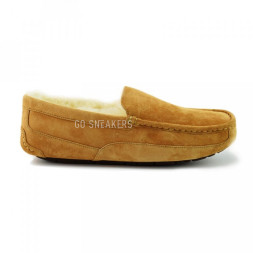 Men's Ascot Chestnut