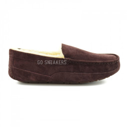 Men's Ascot Chocolate
