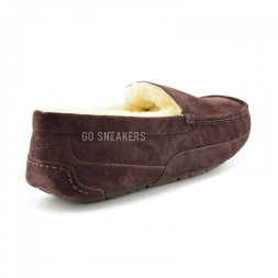 Men's Ascot Chocolate