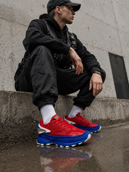 Мужские кроссовки Adidas Raf Simons Response Trail2 Red/Blue