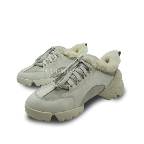 Женские зимние кроссовки Dior D-Connect Beige